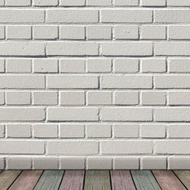 Cum vivamus sociosqu scelerisque